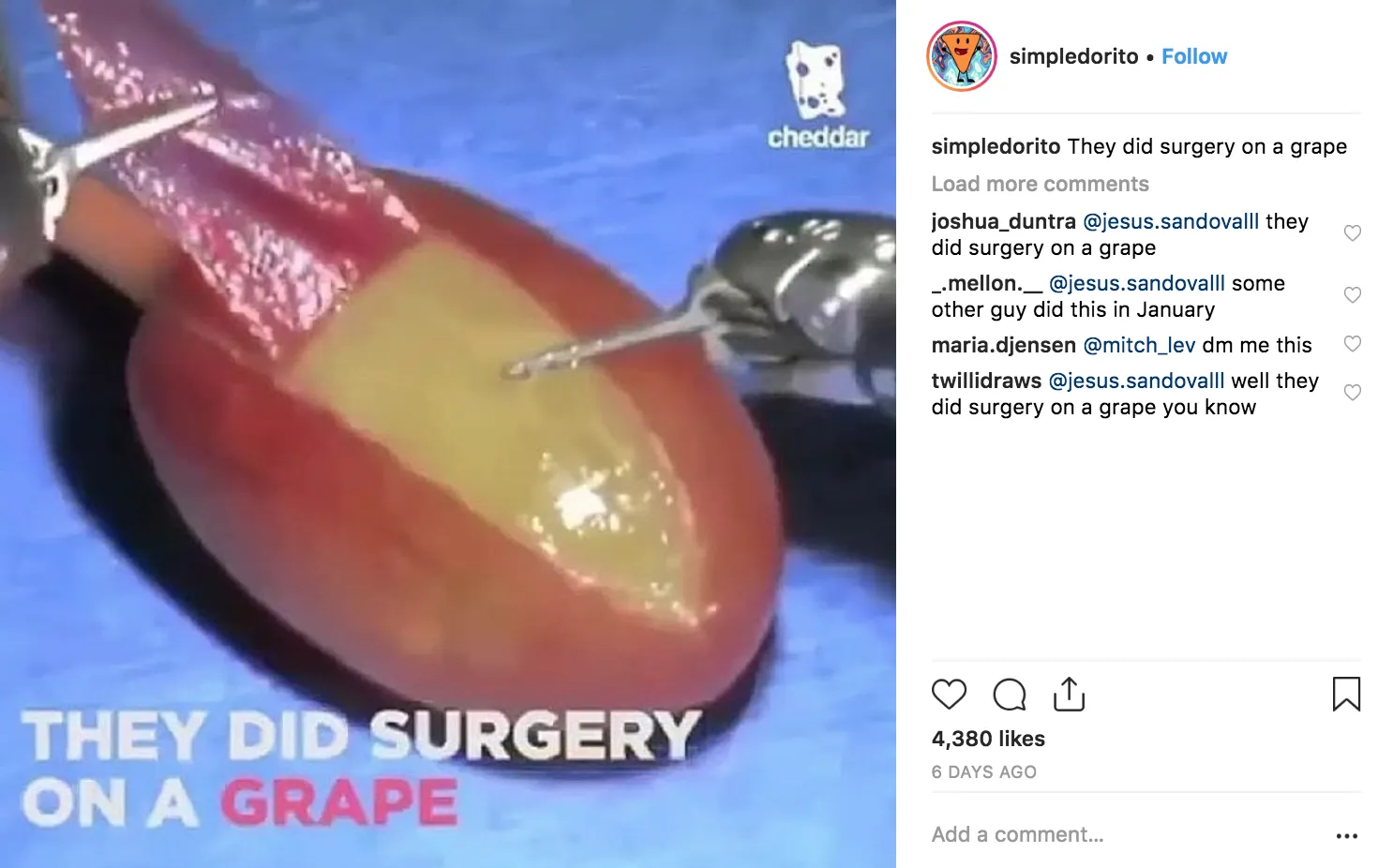 Screenshot of the iconic They Did Surgery on a Grape Instagram post by @simpledorito showing the Cheddar video screenshot with caption text repeated multiple times